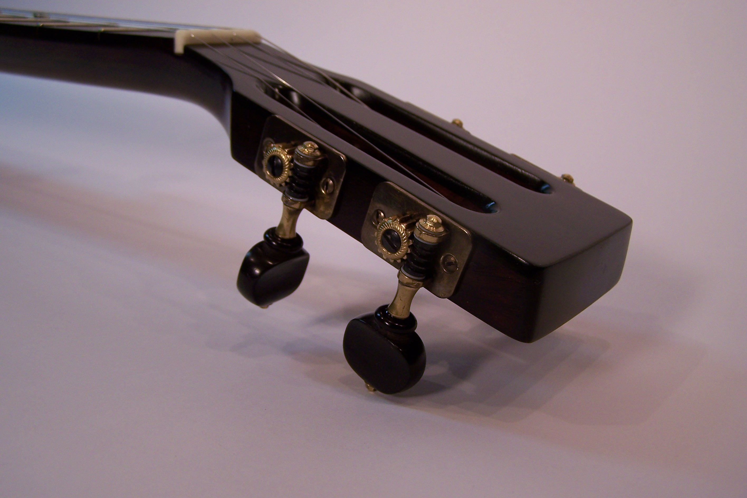 Second Life Banjo
